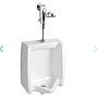 Urinal de fluxometro  Washbrook; entrada 3/4" tod spud y salida 2" descarga(0.5 Lpf to 3.8 Lpf) American Standard